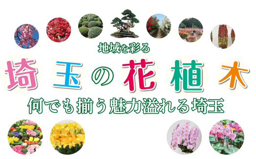 【中古】 埼玉県・わが街の木と花の物語 身近な植物の文化誌 下/埼玉新聞社/埼玉県緑の推進員連絡協議会 埼玉県・わが街の木と花の物語 : 身近な植物の文化誌(埼玉県緑の